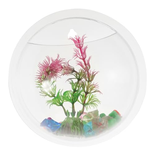 DOITOOL Dekorative -montiert Acryl Fisch Tank Pflanzer Aquarium Vase für Home Office Dekoration DOITOOL Dekorative -montiert Acryl Fisch Tank Pflanzer Aquarium Vase für Home Office Dekoration von DOITOOL
