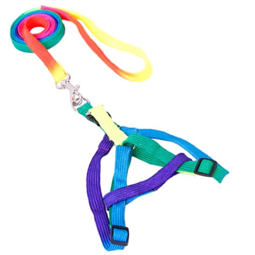 DOITOOL 1 0 cm Breite Bunte Hundeleine Verstellbare Haustierleine Aus Nylon Bequemer Spaziergang Für Welpen in Zufälliger Farbe von DOITOOL