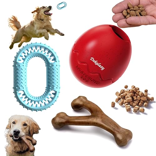 DOKALAZY 3-in-1-Hundespielzeug, befüllbar und Leckerli-Dosierung, Hundespielzeug, um sie zu beschäftigen, langlebiger Nylonknochen für aggressive Kauer, Gummi-Zahnspielzeug zum Kauen & interaktives von DOKALAZY