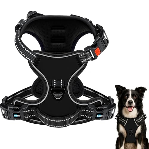 DOLCEPAW Hundegeschirr No-Pull Verstellbar mit Reflektierenden Streifen, Atmungsaktives, Gepolstertes Brustgeschirr für Hunde, Sicher und Bequem für Spaziergänge und Training DOLCEPAW Hundegeschirr No-Pull Verstellbar mit Reflektierenden Streifen, Atmungsaktives, Gepolstertes Brustgeschirr für Hunde, Sicher und Bequem für Spaziergänge und Training von DOLCEPAW