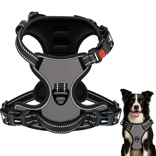 DOLCEPAW Hundegeschirr No-Pull Verstellbar mit Reflektierenden Streifen, Atmungsaktives, Gepolstertes Brustgeschirr für Hunde, Sicher und Bequem für Spaziergänge und Training DOLCEPAW Hundegeschirr No-Pull Verstellbar mit Reflektierenden Streifen, Atmungsaktives, Gepolstertes Brustgeschirr für Hunde, Sicher und Bequem für Spaziergänge und Training von DOLCEPAW