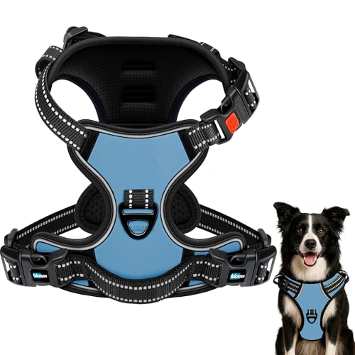 DOLCEPAW Hundegeschirr No-Pull Verstellbar mit Reflektierenden Streifen, Atmungsaktives, Gepolstertes Brustgeschirr für Hunde, Sicher und Bequem für Spaziergänge und Training DOLCEPAW Hundegeschirr No-Pull Verstellbar mit Reflektierenden Streifen, Atmungsaktives, Gepolstertes Brustgeschirr für Hunde, Sicher und Bequem für Spaziergänge und Training von DOLCEPAW