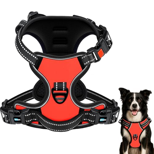 DOLCEPAW Hundegeschirr No-Pull Verstellbar mit Reflektierenden Streifen, Atmungsaktives, Gepolstertes Brustgeschirr für Hunde, Sicher und Bequem für Spaziergänge und Training DOLCEPAW Hundegeschirr No-Pull Verstellbar mit Reflektierenden Streifen, Atmungsaktives, Gepolstertes Brustgeschirr für Hunde, Sicher und Bequem für Spaziergänge und Training von DOLCEPAW