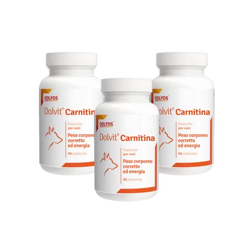 Dolfos Dolvit Carnitin 3 x 90 für aktive Hunde, übergewichtig und ältere Hunde, 3 Packungen mit 90 Kapseln Dolfos Dolvit Carnitin 3 x 90 für aktive Hunde, übergewichtig und ältere Hunde, 3 Packungen mit 90 Kapseln von DOLFOS PETS