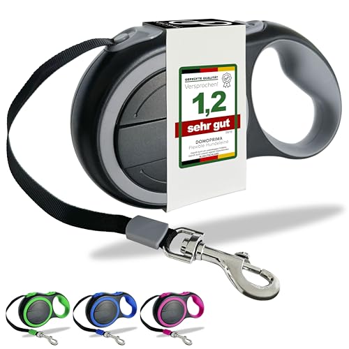 DOMOPRIMA Rollleine Flexible Hundeleine in 3 Größen (S,M,L) und 4 Farben (grau, blau, grün, pink) - Robuste und sichere Hundeleine für kleine, mittlere und große Hunde (Grau, M) von DOMOPRIMA homeware
