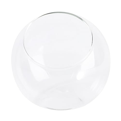 DONFAMDS Micro Terrarium Glasflasche DIY Mini Landschaftsgefäß für Wohnraumdekoration Langlebiges Vielseitig für Schlafzimmer Büro Wohnzimmer Geeignet DONFAMDS Micro Terrarium Glasflasche DIY Mini Landschaftsgefäß für Wohnraumdekoration Langlebiges Vielseitig für Schlafzimmer Büro Wohnzimmer Geeignet von DONFAMDS