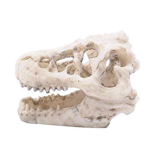 Aqua Ornament, Aquarium Hohlharz Dinosaurier Schädel, Aquarium Dekoriert, Sicheres Versteck für Reptilien und Amphibien Aqua Ornament, Aquarium Hohlharz Dinosaurier Schädel, Aquarium Dekoriert, Sicheres Versteck für Reptilien und Amphibien von DONGKER