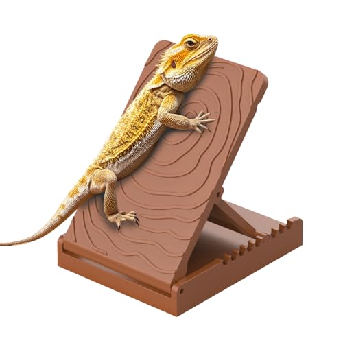 Bartagamen Sonnenplattform, 30°-60° Einstellbare Kletterrampe fur Terrarien, Zusammenklappbare Plattform für Bartagamen, Leopardgeckos, Eidechsen, Schildkröten, Hamster Bartagamen Sonnenplattform, 30°-60° Einstellbare Kletterrampe fur Terrarien, Zusammenklappbare Plattform für Bartagamen, Leopardgeckos, Eidechsen, Schildkröten, Hamster von DONGKER