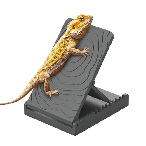 Bartagamen Sonnenplattform, 30°-60° Einstellbare Kletterrampe fur Terrarien, Zusammenklappbare Plattform für Bartagamen, Leopardgeckos, Eidechsen, Schildkröten, Hamster Bartagamen Sonnenplattform, 30°-60° Einstellbare Kletterrampe fur Terrarien, Zusammenklappbare Plattform für Bartagamen, Leopardgeckos, Eidechsen, Schildkröten, Hamster von DONGKER