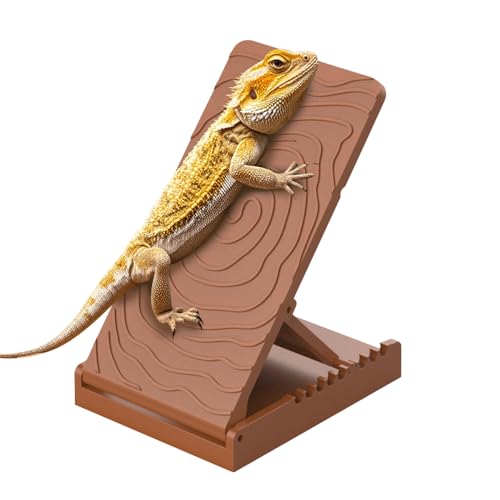 Bartagamen Sonnenplattform, 30°-60° Einstellbare Kletterrampe fur Terrarien, Zusammenklappbare Plattform für Bartagamen, Leopardgeckos, Eidechsen, Schildkröten, Hamster Bartagamen Sonnenplattform, 30°-60° Einstellbare Kletterrampe fur Terrarien, Zusammenklappbare Plattform für Bartagamen, Leopardgeckos, Eidechsen, Schildkröten, Hamster von DONGKER