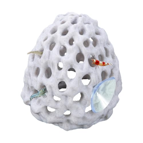Betta Habitat Aquarium Ornament Zubehör mit Saugnapf für kleine Fische, Guppy verstecken von DONGKER