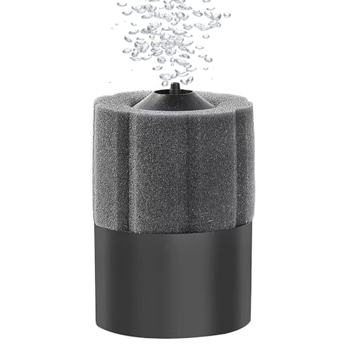 DONGKER Aquarium-Schwammfilter, Tauchfähiger Interner Schaumaquariumfilter, Filter für kleine Aquarien zur Aufzucht von Jungfischen, Garnelen, Schnecken, Kampffische DONGKER Aquarium-Schwammfilter, Tauchfähiger Interner Schaumaquariumfilter, Filter für kleine Aquarien zur Aufzucht von Jungfischen, Garnelen, Schnecken, Kampffische von DONGKER