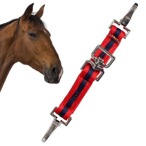 DONGKER Ausfallgurt für Pferde, 1 Stuck 1" Longiergurt für Pferdelonge, Lunging Strap mit Schnellverschluss-Drehschnalle für das Pferdetraining, Verbesserung der Kontrollleistung DONGKER Ausfallgurt für Pferde, 1 Stuck 1" Longiergurt für Pferdelonge, Lunging Strap mit Schnellverschluss-Drehschnalle für das Pferdetraining, Verbesserung der Kontrollleistung von DONGKER