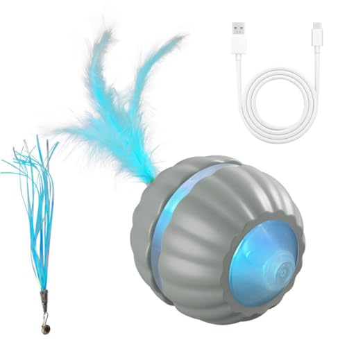 DONGKER Automatischer Katzenspielzeug Ball, Elektrisch Katzenball mit LED-Lichtern und Ersatzschwanz für Hauskatzen zur Langeweile, Bereicherung, Bewegung, Jagd und zum Spielen von DONGKER