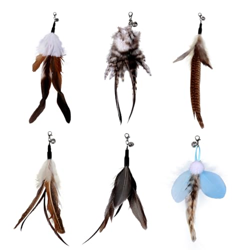 DONGKER Cat Feather Toys Ersatz, 6 Stück Katzenspielzeug Feder, Katzen Federspielzeug für Katzen Ersatzfedern Anhänger mit Glöckchen für Hauskatzen und Kätzchen zum Fangen und Trainieren DONGKER Cat Feather Toys Ersatz, 6 Stück Katzenspielzeug Feder, Katzen Federspielzeug für Katzen Ersatzfedern Anhänger mit Glöckchen für Hauskatzen und Kätzchen zum Fangen und Trainieren von DONGKER