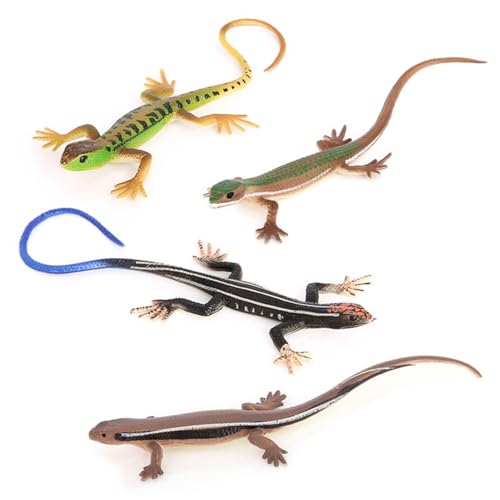 DONGKER Katzenspielzeug in Eidechsenform, 4 Stuck Simuliertem Reptilienspielzeug aus PVC für Kätzchen und Erwachsene Katzen über 6 Monate DONGKER Katzenspielzeug in Eidechsenform, 4 Stuck Simuliertem Reptilienspielzeug aus PVC für Kätzchen und Erwachsene Katzen über 6 Monate von DONGKER