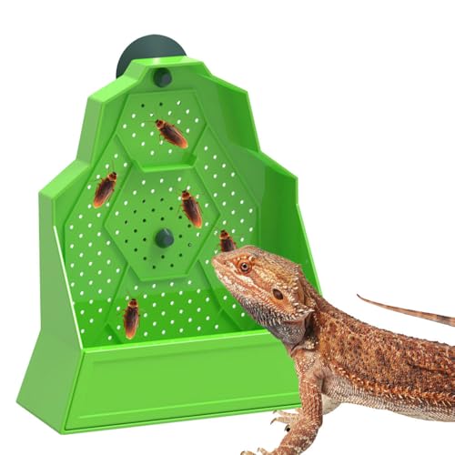 DONGKER Futterschale für Reptilien, Bartagamen Futterspender mit Saugnap, Ausbruchsicherer Eck Reptilien Futterkasten Wandmontage für Eidechsen, Bartagamen, Geckos und Frösche DONGKER Futterschale für Reptilien, Bartagamen Futterspender mit Saugnap, Ausbruchsicherer Eck Reptilien Futterkasten Wandmontage für Eidechsen, Bartagamen, Geckos und Frösche von DONGKER