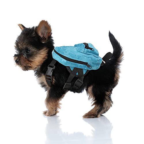 DONGKER Rucksack für Klein Hunde mit 1,2 m Leine, Nette Kleiner Hundebackpack mit Kotbeutelspender zum täglichen Wandern für kleine Hunde DONGKER Rucksack für Klein Hunde mit 1,2 m Leine, Nette Kleiner Hundebackpack mit Kotbeutelspender zum täglichen Wandern für kleine Hunde von DONGKER