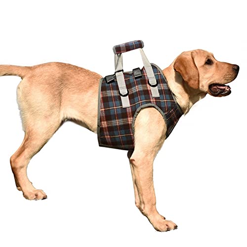 Hundegeschirr, Hunde Tragehilfe mit Griff, Tragbare Verstellbar Hund Rehabilitation Tragegurt für die Vorderbeine Kleiner, mittelgroßer Hunde von DONGKER