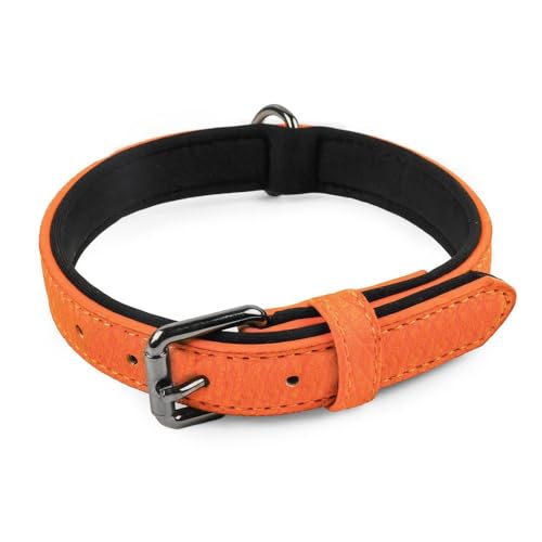 Hundehalsband, Verstellbar Hunden Halsband, Leder Haustierhalsbänder mit Gepolstert und D-Ring für Welpen, Kleine, Mittelgroße und Große Hunde von DONGKER