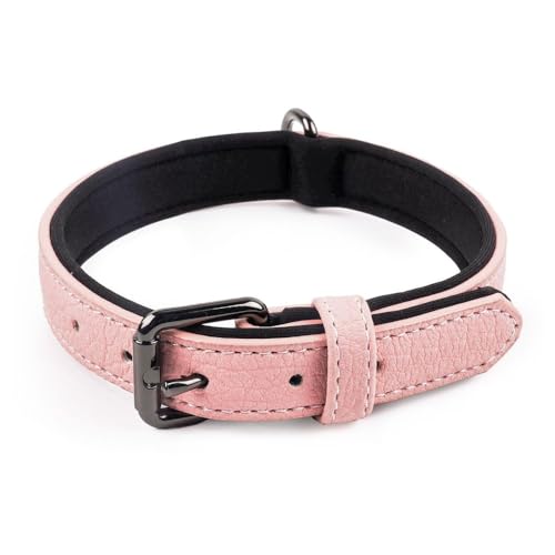 Hundehalsband, Verstellbar Hunden Halsband, Leder Haustierhalsbänder mit Gepolstert und D-Ring für Welpen, Kleine, Mittelgroße und Große Hunde von DONGKER