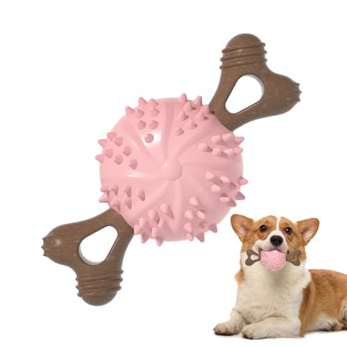 DONGKER Hundespielzeug für Aggressive Kauer, TPR Kauspielzeug für Hunde, Robuster Kauknochen Spielzeug für kleine, große und mittelgroße Rassen, Kau- und Massagezahnfleisch DONGKER Hundespielzeug für Aggressive Kauer, TPR Kauspielzeug für Hunde, Robuster Kauknochen Spielzeug für kleine, große und mittelgroße Rassen, Kau- und Massagezahnfleisch von DONGKER