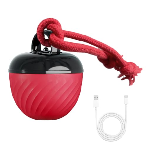 DONGKER Interaktives Katzen-/Hundespielzeug, Automatisch Selbstbeweglicher Rollender Ball mit Seil, USB Wiederaufladbar Hundeball mit integriertes Sound für Katzen und Hunde im Haus von DONGKER