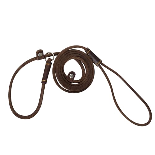 2-in-1 Hundeleine, 1,5m/5ft Leder Retrieverleine mit Zugstopp, Einstellbar Retriever Leinen mit Halsband für Hunde mit Gewicht von etwa bis 10 kg geeignet von DONGKER