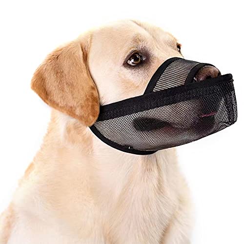 DONGKER Maulkorb für Hunde,Mesh überzogene Hundemaulkorb,Atmungsakti Maulkörbe mit verstellbaren Riemen für Hunde mit spitzem Mund, Anti-Beißen, Anti-Bellen, Lecken DONGKER Maulkorb für Hunde,Mesh überzogene Hundemaulkorb,Atmungsakti Maulkörbe mit verstellbaren Riemen für Hunde mit spitzem Mund, Anti-Beißen, Anti-Bellen, Lecken von DONGKER