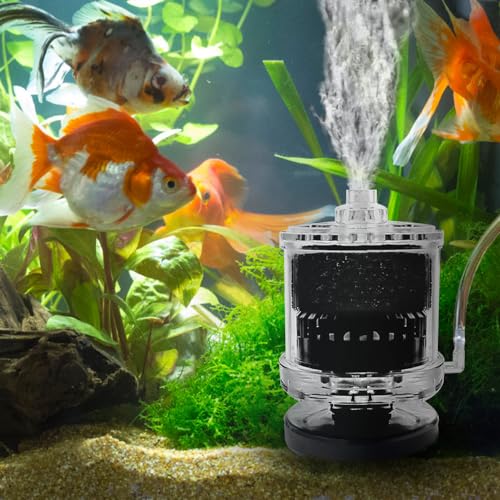 DONGKER Mini Aquarium Filter Bio, Kleiner Physikalisch Schwammfilter für Aquarium, Mini Fischschaumfilter Organisch Aquariumfilter für 1–20 Gallonen Süßwasser-/Meerwasser-/Wasserpflanzentanks DONGKER Mini Aquarium Filter Bio, Kleiner Physikalisch Schwammfilter für Aquarium, Mini Fischschaumfilter Organisch Aquariumfilter für 1–20 Gallonen Süßwasser-/Meerwasser-/Wasserpflanzentanks von DONGKER