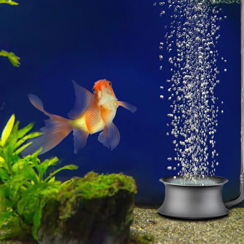 DONGKER Nano-Luftstein für Aquarien, Ultraleise Nano-Bubble Air Stone, Sauerstoff Stein mit hohem gelöstem Sauerstoff für Fischtanks, Aquarien und Hydrokultur DONGKER Nano-Luftstein für Aquarien, Ultraleise Nano-Bubble Air Stone, Sauerstoff Stein mit hohem gelöstem Sauerstoff für Fischtanks, Aquarien und Hydrokultur von DONGKER