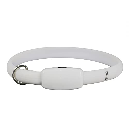 DONGKER RGB LED Leuchthalsband Hund, Zuschneidbares Sicherheit Kragen, 2,5cm Breite, 3 Beleuchtungsmodi, USB Aufladbar Wasserdicht Hundehalsband für Kleine Mittelgroße Hunde Welpen Katzen DONGKER RGB LED Leuchthalsband Hund, Zuschneidbares Sicherheit Kragen, 2,5cm Breite, 3 Beleuchtungsmodi, USB Aufladbar Wasserdicht Hundehalsband für Kleine Mittelgroße Hunde Welpen Katzen von DONGKER