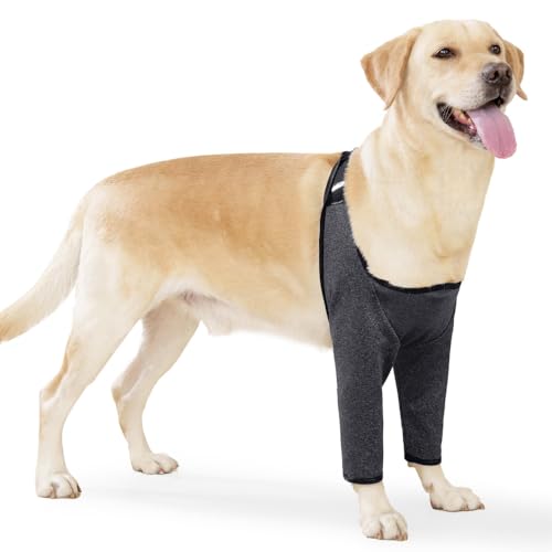 DONGKER Recovery Sleeve Hund, Atmungsaktive Ellenbogenbandage für Hunde Vorderbein mit magischen Aufklebern zur Genesung von Verstauchungen und Verletzungen des Vorderbeins DONGKER Recovery Sleeve Hund, Atmungsaktive Ellenbogenbandage für Hunde Vorderbein mit magischen Aufklebern zur Genesung von Verstauchungen und Verletzungen des Vorderbeins von DONGKER