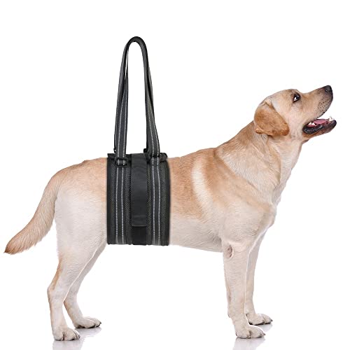 Hunde Tragehilfe, Einstellbar Hundegeschirr, Hund Gehhilfe Lift Support Geschirr mit Atmungsaktive Netz und Reflektierendem Griffe für Kleine, Mittelgroße und Große Hunde zu Treppensteigen, Laufen Hunde Tragehilfe, Einstellbar Hundegeschirr, Hund Gehhilfe Lift Support Geschirr mit Atmungsaktive Netz und Reflektierendem Griffe für Kleine, Mittelgroße und Große Hunde zu Treppensteigen, Laufen von DONGKER