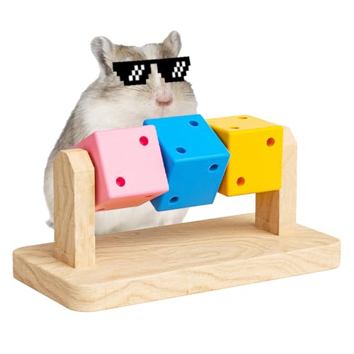 Hamster Spielzeug, 1 Stuck Holz Meerschweinchen Kauspielzeug, Bunter Holzblock Beschäftigung für Meerschweinchen, Chinchillas, Hamster, Kleintiere, Rennmäuse, Ratten, die mit den Zähnen knirschen von DONGKER