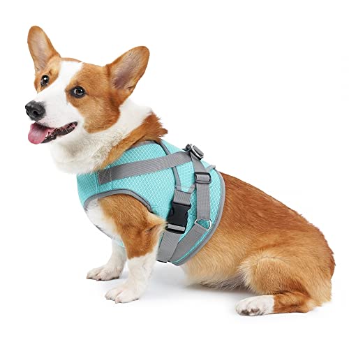 Hund Brustgeschirr, 37-68cm Verstellbare Kühlung Hundegeschirr, Atmungsaktive Hunde Kühlweste mit D-Ring für Kleine, Mittelgroße Hunde von DONGKER