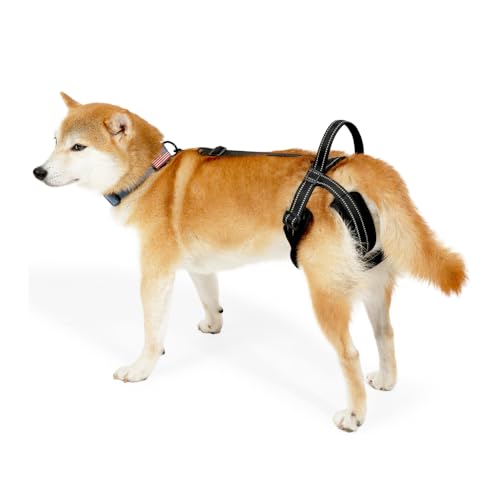 Hundehebegeschirr, Reflektierendes Tragehilfe Hund Treppe, Verstellbare Hundestützgeschirr für die Hinterbeine, Hunde-Hebegurt für ältere, kranke oder operierte Hunde Hundehebegeschirr, Reflektierendes Tragehilfe Hund Treppe, Verstellbare Hundestützgeschirr für die Hinterbeine, Hunde-Hebegurt für ältere, kranke oder operierte Hunde von DONGKER