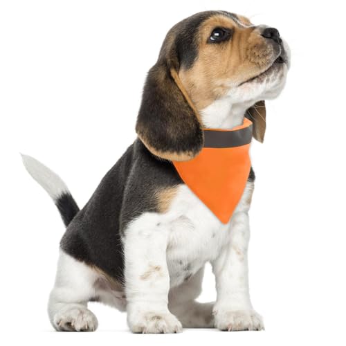 Hundeschal Reflektierende, 1 Stuck Waschbare Hohe Sichtbarkeit Halsdreiecke, Hundehalstücher mit längenverstellbarer Schnalle für kleine bis mittelgroße Hunde, Nachtspaziergänge und Reisen von DONGKER
