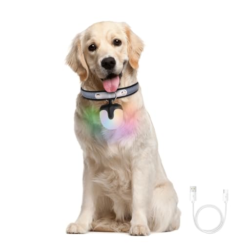 LED Sicherheitslicht Hunde, USB Aufladbar Blinklicht, 4 Modi, Wasserdicht Hundehalsband-Licht für nächtliche Spaziergänge, Klettern, Camping, Radfahren, Laufen LED Sicherheitslicht Hunde, USB Aufladbar Blinklicht, 4 Modi, Wasserdicht Hundehalsband-Licht für nächtliche Spaziergänge, Klettern, Camping, Radfahren, Laufen von DONGKER