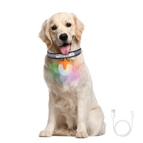 LED Sicherheitslicht Hunde, USB Aufladbar Blinklicht, 4 Modi, Wasserdicht Hundehalsband-Licht für nächtliche Spaziergänge, Klettern, Camping, Radfahren, Laufen LED Sicherheitslicht Hunde, USB Aufladbar Blinklicht, 4 Modi, Wasserdicht Hundehalsband-Licht für nächtliche Spaziergänge, Klettern, Camping, Radfahren, Laufen von DONGKER