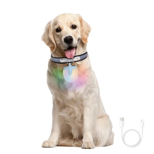 LED Sicherheitslicht Hunde, USB Aufladbar Blinklicht, 4 Modi, Wasserdicht Hundehalsband-Licht für nächtliche Spaziergänge, Klettern, Camping, Radfahren, Laufen LED Sicherheitslicht Hunde, USB Aufladbar Blinklicht, 4 Modi, Wasserdicht Hundehalsband-Licht für nächtliche Spaziergänge, Klettern, Camping, Radfahren, Laufen von DONGKER