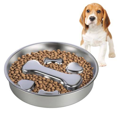 Langsame Fütterung Hundenapf, 1 Stuck 22cm Edelstahl Hunde Futternapf, Fressnapf mit rutschfestem Boden für kleine und mittelgroße Hunderassen Langsame Fütterung Hundenapf, 1 Stuck 22cm Edelstahl Hunde Futternapf, Fressnapf mit rutschfestem Boden für kleine und mittelgroße Hunderassen von DONGKER