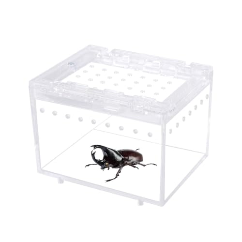 Reptilien Terrarium Box, Transparente Spinnen-Fütterungsbox, 10x8x7 cm, Insekten Futterbox mit Magnetverschluss als Fluchtschutz für Eidechsen, Geckos, Springspinnen und Schnecken von DONGKER