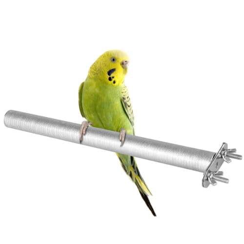 Sitzstange für Vögel, Edelstahl Vogelstange, 15cm/25cm/30cm Lange, Vogel Spielzeug Sitzstangen für Wellensittiche, Kanarienvogel, Papagei & Nager Sitzstange für Vögel, Edelstahl Vogelstange, 15cm/25cm/30cm Lange, Vogel Spielzeug Sitzstangen für Wellensittiche, Kanarienvogel, Papagei & Nager von DONGKER