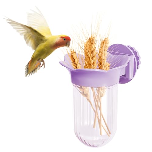 Vogelnapf, 1 Stücke Vogeln Futter Schüssel Futternapf zum Aufhängen, Käfig-Futterstation für Sittiche, Papageien, Nymphensittiche, Finken, Aras, Unzertrennliche, Wellensittiche Vogelnapf, 1 Stücke Vogeln Futter Schüssel Futternapf zum Aufhängen, Käfig-Futterstation für Sittiche, Papageien, Nymphensittiche, Finken, Aras, Unzertrennliche, Wellensittiche von DONGKER