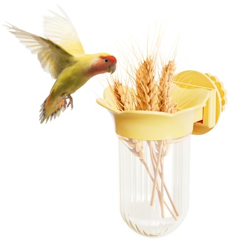 Vogelnapf, 1 Stücke Vogeln Futter Schüssel Futternapf zum Aufhängen, Käfig-Futterstation für Sittiche, Papageien, Nymphensittiche, Finken, Aras, Unzertrennliche, Wellensittiche Vogelnapf, 1 Stücke Vogeln Futter Schüssel Futternapf zum Aufhängen, Käfig-Futterstation für Sittiche, Papageien, Nymphensittiche, Finken, Aras, Unzertrennliche, Wellensittiche von DONGKER