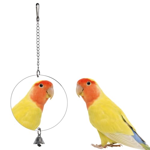 Vogelspiegel, Hängendes Vogel Glocke Spielen Spielzeug, Edelstahl Papageienspiegel mit Haken und Glöckchen für Vögel, Papageien, Sittiche, Wellensittiche, Finken, Kanarienvögel, Nymphensittiche Vogelspiegel, Hängendes Vogel Glocke Spielen Spielzeug, Edelstahl Papageienspiegel mit Haken und Glöckchen für Vögel, Papageien, Sittiche, Wellensittiche, Finken, Kanarienvögel, Nymphensittiche von DONGKER
