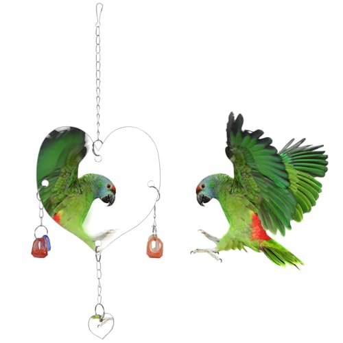Wellensittich Vogelspielzeug, 1 Stück Hängende Spiegel Vogel Papagei, Spiegel-Spielzeug mit Haken und Ketten für Nymphensittiche, Sittiche, Unzertrennliche, Finken, Kanarienvögel, Wellensittiche Wellensittich Vogelspielzeug, 1 Stück Hängende Spiegel Vogel Papagei, Spiegel-Spielzeug mit Haken und Ketten für Nymphensittiche, Sittiche, Unzertrennliche, Finken, Kanarienvögel, Wellensittiche von DONGKER