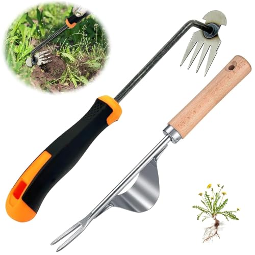 DONGZQAN Unkrautstecher Edelstahl, 2 Stück Gartenarbeit Hand Unkrautstecher Gartenwerkzeug Unkraut Entferner Gerät, Unkraut Stecher, Unkrautjäter Fugenkratzer Mit Stiel Gummigriff 4 Zähne DONGZQAN Unkrautstecher Edelstahl, 2 Stück Gartenarbeit Hand Unkrautstecher Gartenwerkzeug Unkraut Entferner Gerät, Unkraut Stecher, Unkrautjäter Fugenkratzer Mit Stiel Gummigriff 4 Zähne von DONGZQAN