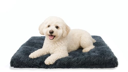 DONWEI Hundebett, Katzenbett,Dog Bed for Medium and Small Dogs 50 x 50 x 4cm,Washable Dog Bed for Small Dogs/Cat, Non-Slip Underside,Dark Grey DONWEI Hundebett, Katzenbett,Dog Bed for Medium and Small Dogs 50 x 50 x 4cm,Washable Dog Bed for Small Dogs/Cat, Non-Slip Underside,Dark Grey von DONWEI